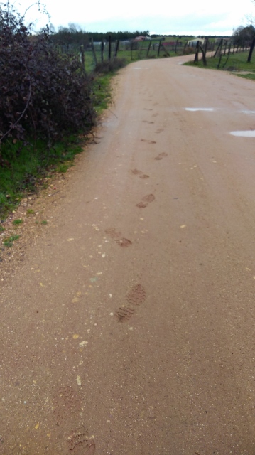 IMG_20180407_085603 (359x640)