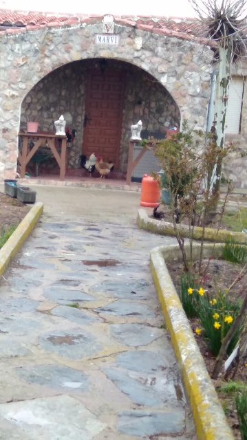 IMG_20180407_085926 (359x640)