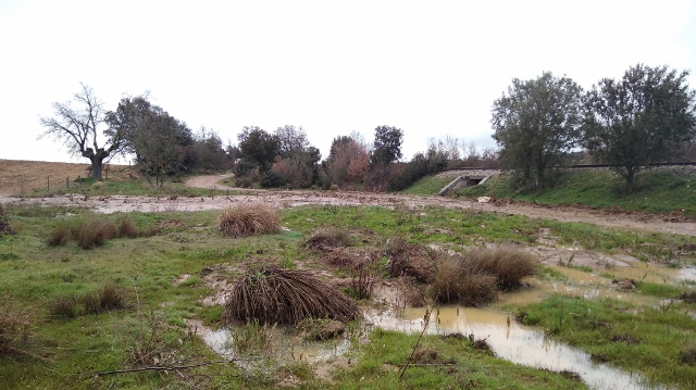 IMG_20180407_091812 (640x359)