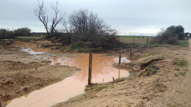 IMG_20180407_093221 (640x359)