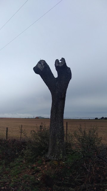 IMG_20180407_094400 (359x640)