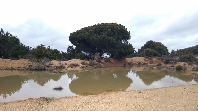 IMG_20180407_104016 (640x359)