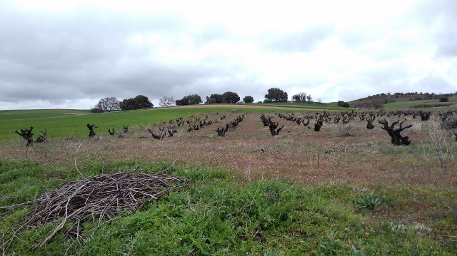 IMG_20180407_110628 (640x359)