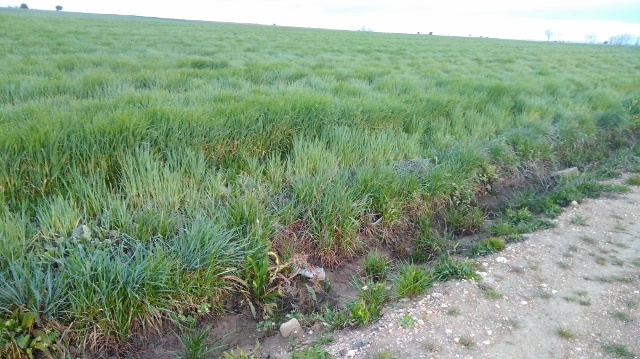 IMG_20180408_080524 (640x359)