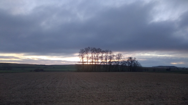 IMG_20180408_080923 (640x359)