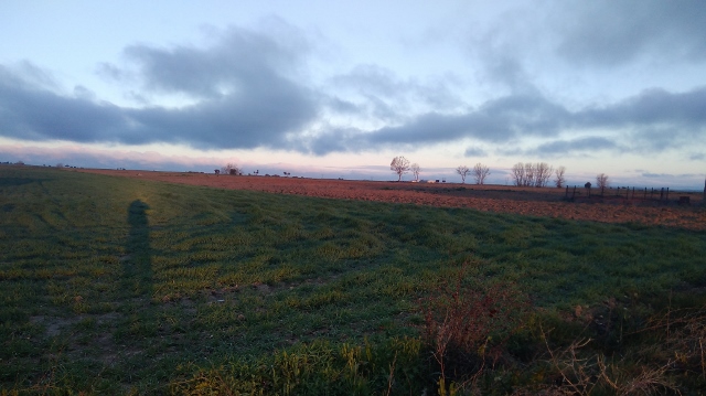 IMG_20180408_081127 (640x359)