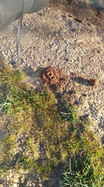 IMG_20180408_091149 (359x640)