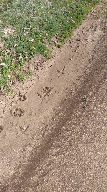 IMG_20180408_104032 (359x640)