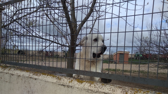 IMG_20180408_114620 (640x359)