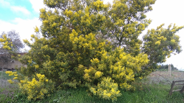 IMG_20180408_120408 (640x359)