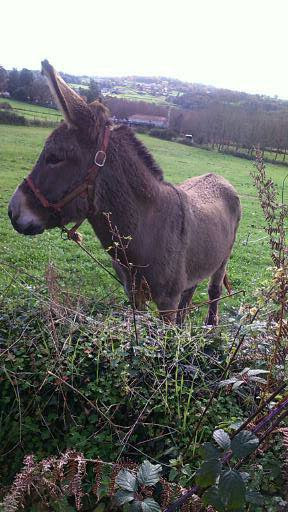 Spain autumn 2016 phone 3943 (512x288)