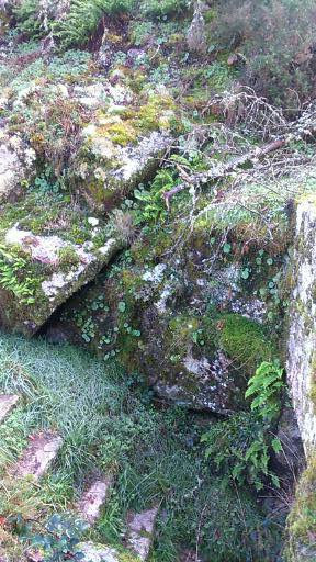 Spain autumn 2016 phone 3952 (288x512)