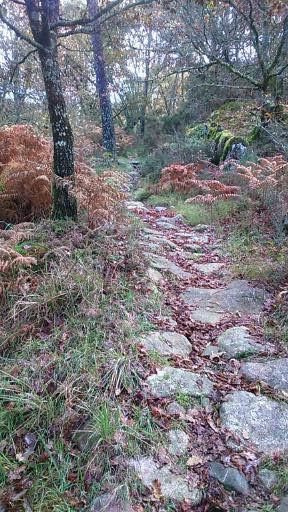 Spain autumn 2016 phone 3959 (288x512)