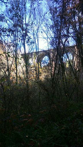 Spain autumn 2016 phone 3966 (288x512)