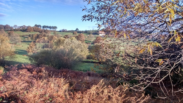 Spain autumn 2016 phone 4035 (640x360)