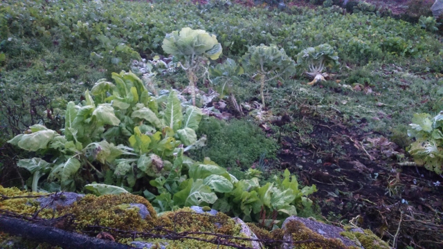 Spain autumn 2016 phone 4149 (640x360)