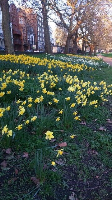 DSC_0030_12 (640x360)