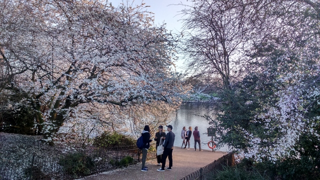 DSC_0033_14 (640x360)