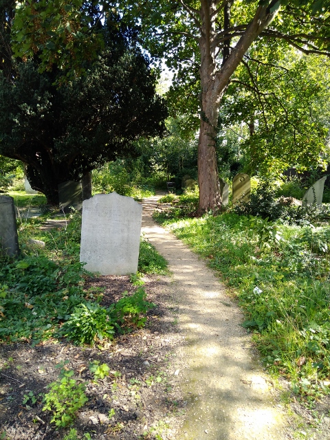 IMG_20170915_124342 (480x640)