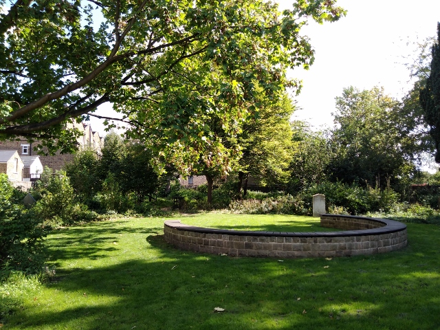 IMG_20170915_124431 (640x480)