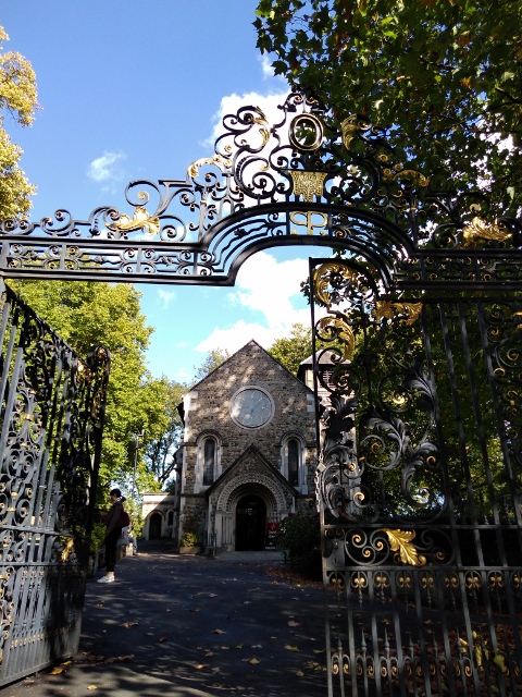 IMG_20170922_143709 (480x640)