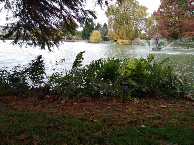 IMG_20171024_130104 (640x480)