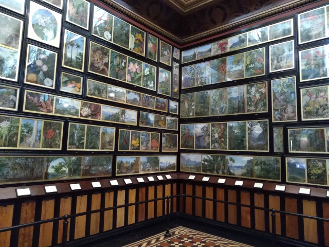 IMG_20171024_144539 (640x480)