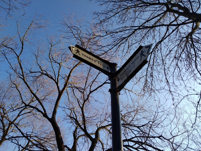 IMG_20180206_092818 (640x480)