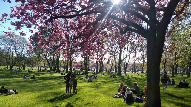 IMG_20180506_174222 (640x359)