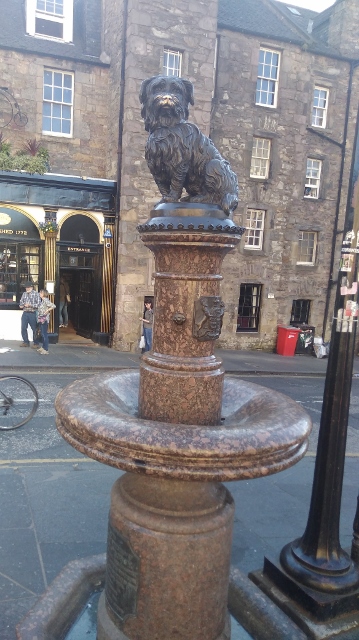 IMG_20180506_175925 (359x640)