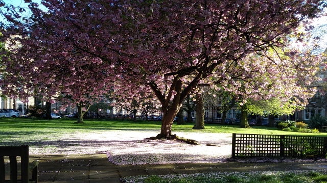 IMG_20180508_184207 (640x359)