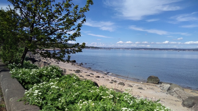 IMG_20180512_122435 (640x359)