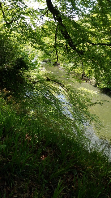 IMG_20180512_131116 (359x640)