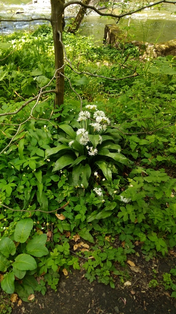 IMG_20180512_131635 (359x640)