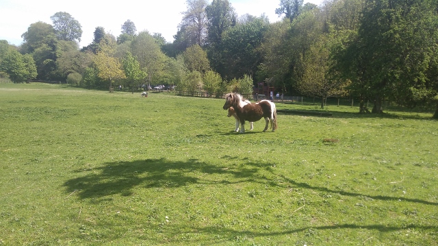 IMG_20180512_132847 (640x359)