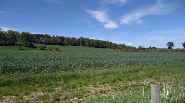 IMG_20180512_135013 (640x359)