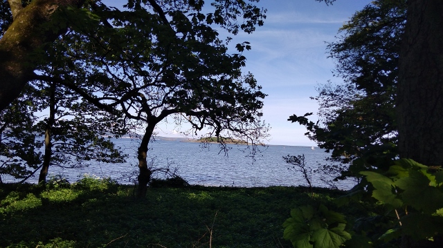 IMG_20180512_140733 (640x359)