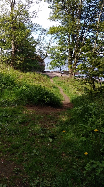 IMG_20180512_143857 (359x640)