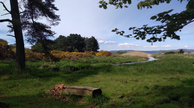 IMG_20180512_145547 (640x359)