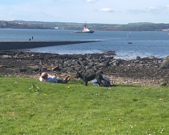 IMG_20180513_122538 (640x512)