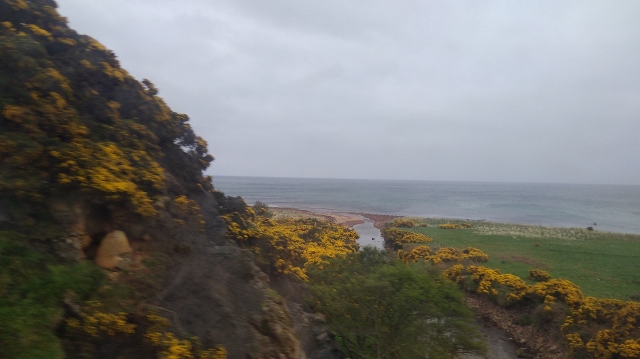 IMG_20180521_163014 (640x359)