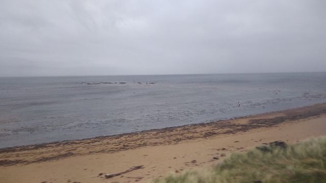 IMG_20180521_163303 (640x359)