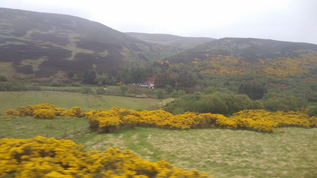 IMG_20180521_164145 (640x359)