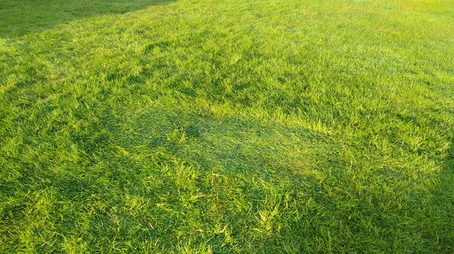 IMG_20180522_054810 (640x359)