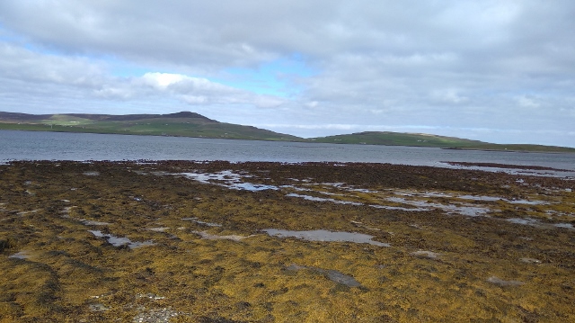 IMG_20180522_092632 (640x359)