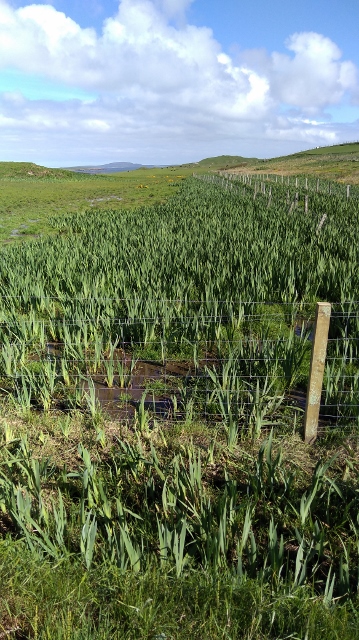 IMG_20180522_094139 (359x640)