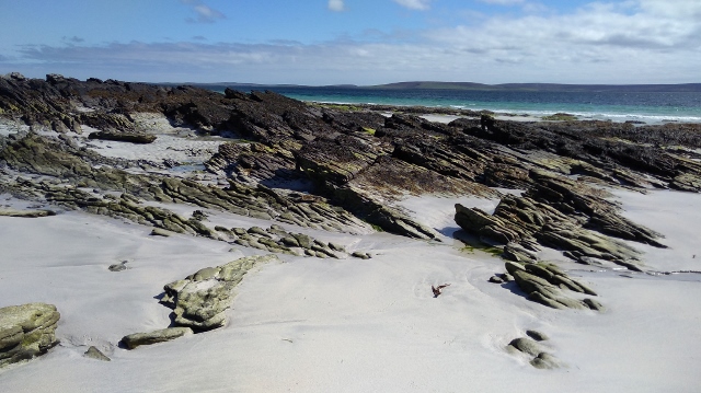 IMG_20180522_105441 (640x359)