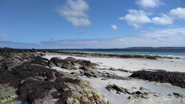 IMG_20180522_105530 (640x359)