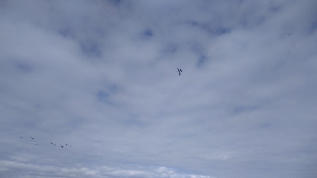 IMG_20180522_114957 (640x359)