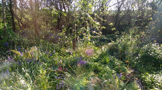 IMG_20180523_183034 (640x359)